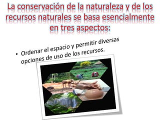 La conservación de la naturaleza y de los
recursos naturales se basa esencialmente
en tres aspectos:
 
