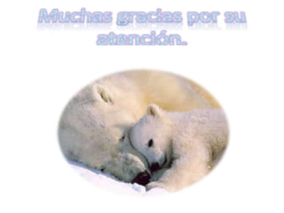 Presentacion de tics