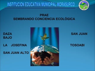 PRAE SEMBRANDO CONCIENCIA ECOLÓGICA   DAZA   SAN JUAN BAJO LA JOSEFINA   TOSOABI SAN JUAN ALTO INSTITUCION EDUCATIVA MUNICIPAL MORASURCO 