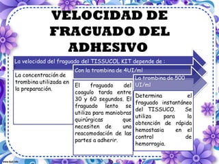 VELOCIDAD DE
    FRAGUADO DEL
      ADHESIVO
•
 