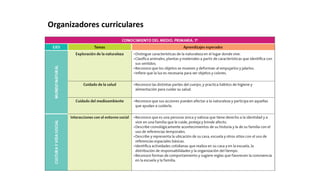 Organizadores curriculares
 