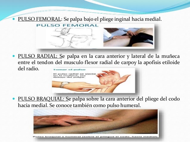 Presentacion de trabajo de educ. fisica el pulso