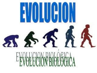 EVOLUCION BIOLÓGICA EVOLUCION 