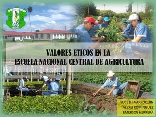 VALORES ETICOS EN LA  ESCUELA NACIONAL CENTRAL DE AGRICULTURA SUCETH MARROQUIN ALEXEI DOMINGUEZ EMERSON HERRERA 