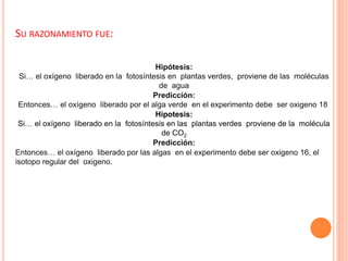SU RAZONAMIENTO FUE:
Hipótesis:
Si… el oxígeno liberado en la fotosíntesis en plantas verdes, proviene de las moléculas
de agua
Predicción:
Entonces… el oxígeno liberado por el alga verde en el experimento debe ser oxigeno 18.
Hipotesis:
Si… el oxígeno liberado en la fotosíntesis en las plantas verdes proviene de la molécula
de CO2
Predicción:
Entonces… el oxígeno liberado por las algas en el experimento debe ser oxigeno 16, el
isotopo regular del oxigeno.
 