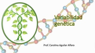 Variabilidad
genética
Prof. Carolina Aguilar Alfaro
 