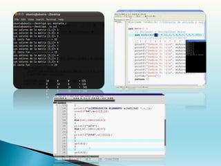 Presentacion de vectores y matrices