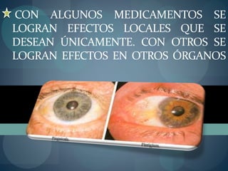 CON ALGUNOS MEDICAMENTOS SE 
LOGRAN EFECTOS LOCALES QUE SE 
DESEAN ÚNICAMENTE. CON OTROS SE 
LOGRAN EFECTOS EN OTROS ÓRGANOS 
 