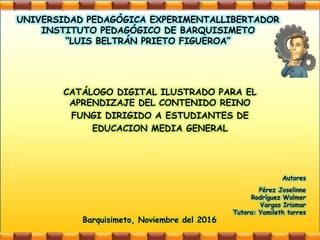 Autores
Pérez Joselinne
Rodríguez Walmer
Vargas Irismar
Tutora: Yamileth torres
Barquisimeto, Noviembre del 2016
UNIVERSIDAD PEDAGÓGICA EXPERIMENTALLIBERTADOR
INSTITUTO PEDAGÓGICO DE BARQUISIMETO
“LUIS BELTRÁN PRIETO FIGUEROA”
CATÁLOGO DIGITAL ILUSTRADO PARA EL
APRENDIZAJE DEL CONTENIDO REINO
FUNGI DIRIGIDO A ESTUDIANTES DE
EDUCACION MEDIA GENERAL
 