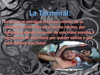 TIPOS DE VIOLENCIAS QUE EXISTEN 