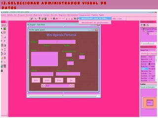 1 3 . S e l e c c i o n a r a d m i n i s t r a d o r v i s u a l d e
d a t o s
 