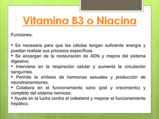 Funciones:

 Es necesaria para que las células tengan suficiente energía y
puedan realizar sus procesos específicos.
 Se encargan de la restauración de ADN y mejora del sistema
digestivo.
 Interviene en la respiración celular y aumenta la circulación
sanguínea.
 Permite la síntesis de hormonas sexuales y producción de
neurotransmisores.
 Colabora en el funcionamiento sano (piel y crecimiento) y
completo del sistema nervioso.
 Ayuda en la lucha contra el colesterol y mejorar el funcionamiento
hepático.
 