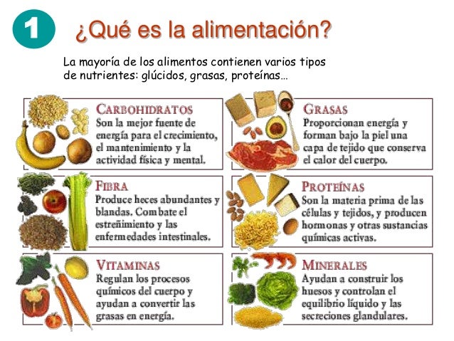 La Nutricion Y La Alimentacion