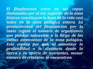 El fitoplancton crece en las capas iluminadas por el sol, superior de la zona fónicos constituyen la base de la vida casi todos en la zona pelágica entera. La productividad del fitoplancton por lo tanto regula el número de organismos que pueden sobrevivir a lo largo de las vastas extensiones de la zona pelágica. Esto explica por qué, al aumentar la profundidad o la distancia desde la tierra y su aporte de nutrientes, menor número de criaturas se encuentran.