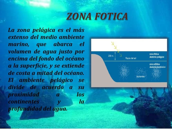 Presentacion de zona fotica