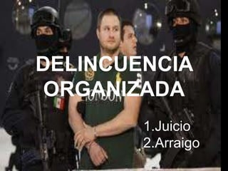 DELINCUENCIA
 ORGANIZADA
        1.Juicio
        2.Arraigo
 