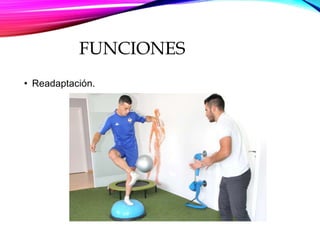 FUNCIONES
• Readaptación.
 