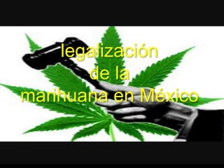 legalización
de la
marihuana en México
 