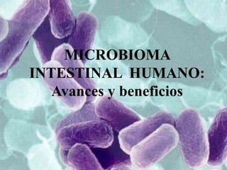 MICROBIOMA
INTESTINAL HUMANO:
   Avances y beneficios
 