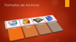 Formatos de Archivos
 