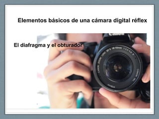 Elementos básicos de una cámara digital réflex
El diafragma y el obturador
 