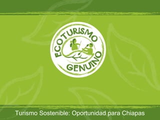 Turismo Sostenible: Oportunidad para Chiapas
 