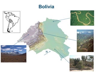 Conflictos sobre Participación e Inclusión Social en Proyectos de Desarrollo Rural durante la Era del MAS en Bolivia