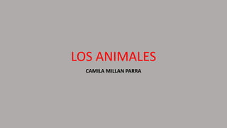 LOS ANIMALES
CAMILA MILLAN PARRA
 