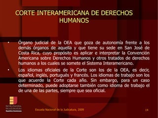 ENJ-3-200 Sistema Interamericano de Derechos Humanos | PPT