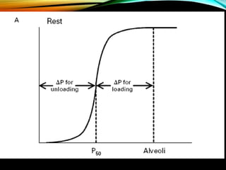 Presentación Difusión de los gases.pptx