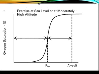Presentación Difusión de los gases.pptx