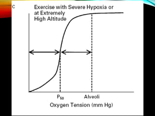 Presentación Difusión de los gases.pptx