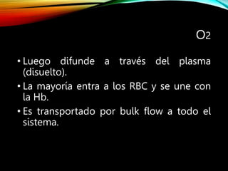 O2
• Luego difunde a través del plasma
(disuelto).
• La mayoría entra a los RBC y se une con
la Hb.
• Es transportado por bulk flow a todo el
sistema.
 