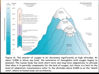Presentación Difusión de los gases.pptx