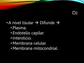 O2
•A nivel tisular  Difunde 
•Plasma.
•Endotelio capilar.
•Intersticio.
•Membrana celular.
•Membrana mitocondrial.
 
