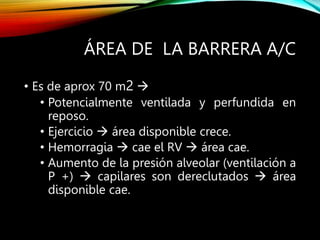 ÁREA DE LA BARRERA A/C
• Es de aprox 70 m2 
• Potencialmente ventilada y perfundida en
reposo.
• Ejercicio  área disponible crece.
• Hemorragia  cae el RV  área cae.
• Aumento de la presión alveolar (ventilación a
P +)  capilares son dereclutados  área
disponible cae.
 