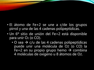 • El átomo de Fe+2 se une a c/de los grupos
pirrol y una de las 4 cadenas polipeptídicas.
• Un 6º sitio de unión del Fe+2 está disponible
para unir O2 (o CO).
• O sea  c/u de las 4 cadenas polipeptídicas
puede unir una molécula de O2 (o CO) la
Fe+2 en su propio grupo hemo  combina
4 moléculas de oxígeno u 8 átomos de O2.
 