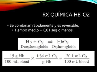 RX QUÍMICA HB-O2
• Se combinan rápidamente y es reversible.
• Tiempo medio = 0,01 seg o menos.
 