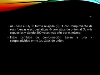 …
• Al unirse el O2  forma relajada (R)  con rompimiento de
esas fuerzas electroestáticas  con sitios de unión al O2 más
expuestos y siendo 500 veces más afin por el mismo.
• Estos cambios de conformación llevan a una >
cooperatividad entre los sitios de unión.
 