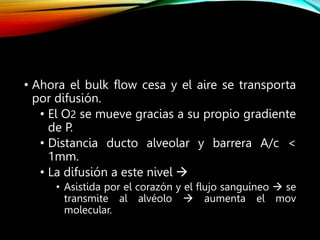 • Ahora el bulk flow cesa y el aire se transporta
por difusión.
• El O2 se mueve gracias a su propio gradiente
de P.
• Distancia ducto alveolar y barrera A/c <
1mm.
• La difusión a este nivel 
• Asistida por el corazón y el flujo sanguíneo  se
transmite al alvéolo  aumenta el mov
molecular.
 