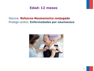 Edad: 12 meses
Vacuna: Refuerzo Neumococica conjugada
Protege contra: Enfermedades por neumococo
14
 