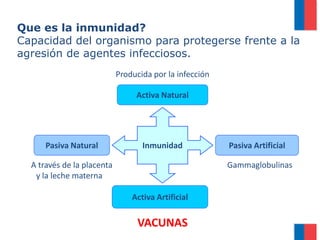 Inmunidad
Activa Natural
Activa Artificial
Pasiva ArtificialPasiva Natural
Producida por la infección
VACUNAS
GammaglobulinasA través de la placenta
y la leche materna
Que es la inmunidad?
Capacidad del organismo para protegerse frente a la
agresión de agentes infecciosos.
 