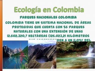 Ecología en ColombiaParques Nacionales ColombiaColombia tiene un Sistema Nacional de Áreas Protegidas que cuenta con 56 parques naturales con una extensión de unas 12.602.320,7 hectáreas (126.023,21 Kilómetros cuadrados) que corresponden a un 11,04% del territorio continental colombiano.