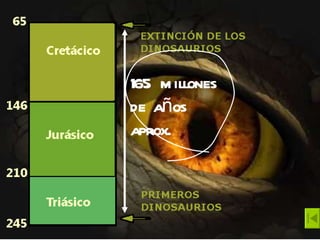165 millones de años aprox. 165 millones de años aprox. 