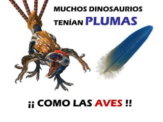 ¡¡ COMO LAS  AVES  !! MUCHOS DINOSAURIOS TENÍAN  PLUMAS 