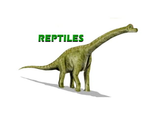 REPTILES REPTILES 