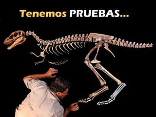 Tenemos  PRUEBAS … 