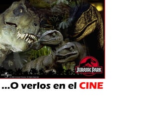 … O verlos en el  CINE 