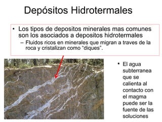 Dep ósitos   Hidrotermales   Los tipos de depositos minerales mas comunes son los asociados a depositos hidrotermales Fluidos ricos en minerales que migran a traves de la roca y cristalizan como “diques”. El agua subterranea que se calienta al contacto con el magma puede ser la fuente de las soluciones 