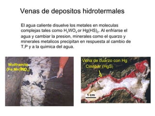 Venas de depositos hidrotermales El agua caliente disuelve los metales en moleculas complejas tales como H 2 WO 4  or Hg(HS) 2 . Al enfriarse el agua y cambiar la presion, minerales como el quarzo y minerales metalicos precipitan en respuesta al cambio de T,P y a la quimica del agua. 10 cm Wolframite (Fe,Mn)WO 4 ) 1 cm Cinabar (HgS ) Vena de cuarzo con Hg 